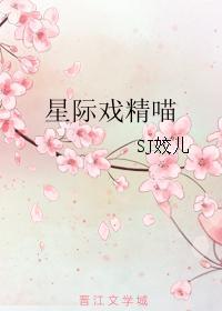 吉尔提 森 坎西