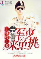 妙手愈荣华第一季在线