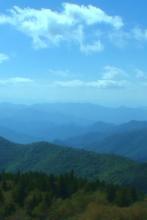 重生之豪门辣妻不好惹免费观看