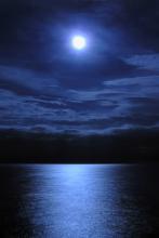 219. 农门小地主 农门小地主by陆呦呦