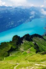 恶魔总裁的蜜宠