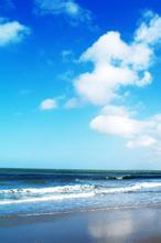 恶魔总裁宠妻太惹火