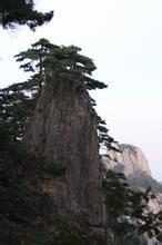 溺宠草包嫡女痴傻三小姐