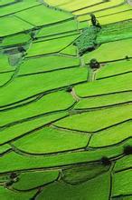 溺宠腹黑王妃娶一送二