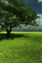 阿拉丁神灯文集