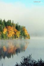 爱伦坡的鹦鹉文集