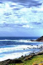 养鬼专家百度百科