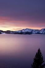 养鬼专家全文免费阅读