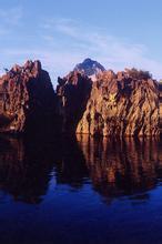 养鬼专家手机版