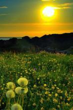 混在异界当作家不如尬舞