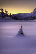 第六季茗之殇在线观看