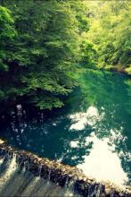 我的侍女要登基格格党