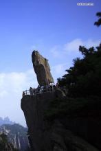 随身田园欢乐谷 沉珛