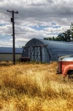 女神的近身护卫萧正身世之谜