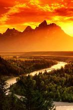 樱花烂漫时下一句