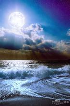 无主荒芜 沧雪剑灵