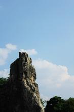 双面总裁难伺候