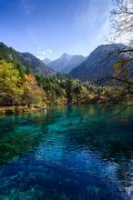 另类保镖总裁爱上我叶凌天主要情节