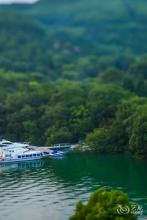 我是特种兵之火凤凰原著