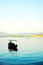 绿茵狂龙 真狼魂