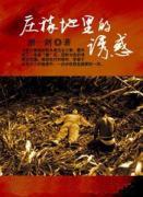 你却把我当傻子