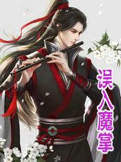 农夫三国精校版