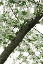 极品女鬼收容系统