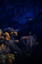 我真的是最后一个神仙