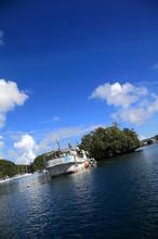 丁香一样芬芳文集