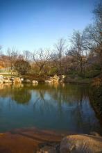 总裁枭宠小甜妻免费阅读全文