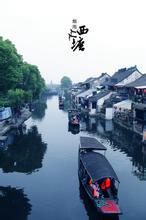 总裁枭宠小甜妻