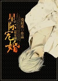 我的校花总裁老婆作者是谁