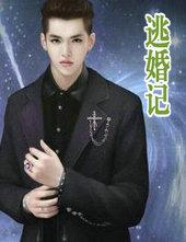 逃婚记