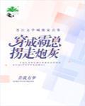 冰河时代传奇装备怎么穿搭