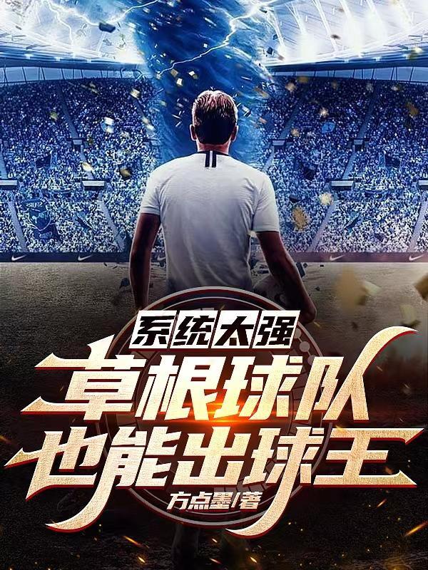 系统也能当老公txt