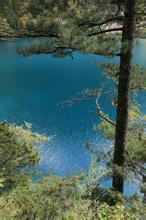 创世灭亡轮回有几节