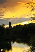 总裁诱爱小娇妻全文阅读