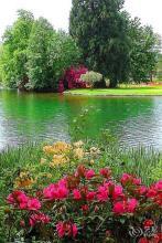 万世雷池人物简介