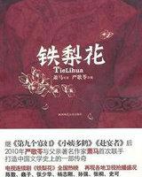 末日的天空描写