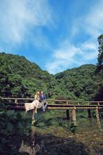 妃常宠爱皇上来翻牌子嘛