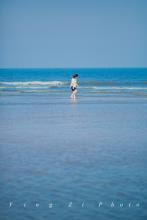 芒果夏天成熟吗