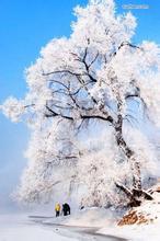 无限动漫之天才系统笔趣阁