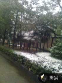 冷酷总裁柔情心