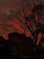 星际致富日常 五月奇迹TXT