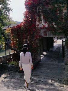 云若月楚玄辰免费阅读笔趣阁