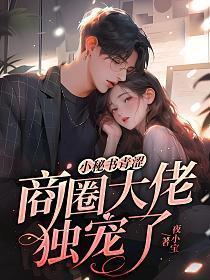 淑嘉贵妃传女主爱男主吗