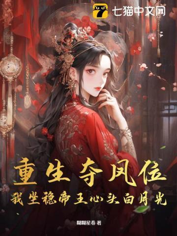 皇的神秘隐妃讲的什么