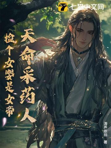 清穿之孝贤皇后