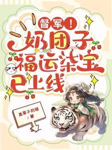 盗天仙途女主角有几个