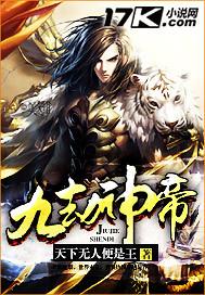 野蛮人之王的故事